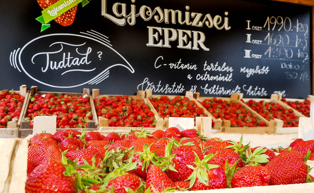 Lajosmizsei földieper