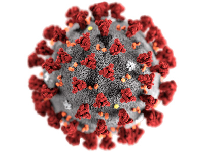 Vértisztító és baktériumölő hatás