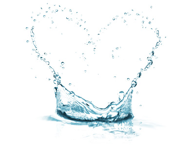 Magas rost-, és víztartalom